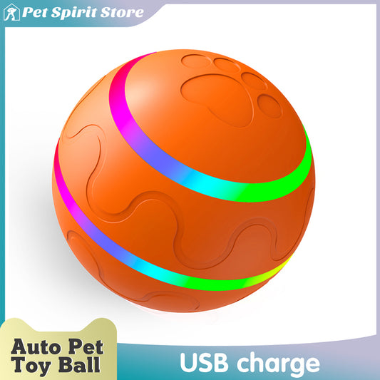 Smart Toy Ball Dog Cat